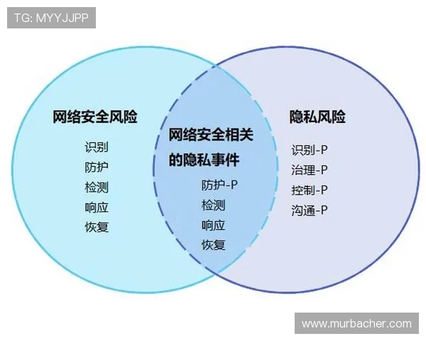 线上PA平台入口的安全性与隐私保护措施探讨