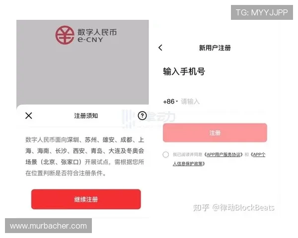 避免agapp版会员注册中常见错误的实用建议