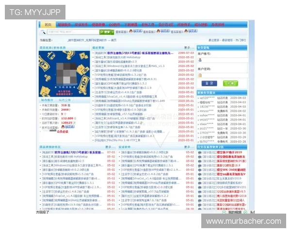网络版的百家家乐网站如何利用优惠活动提升游戏盈利率与玩家满意度