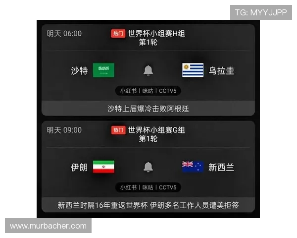 专家视角解读世界杯埃及伊朗比赛的战术布置与胜负关键因素